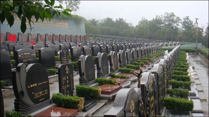 上海墓地使用年限是多少年？