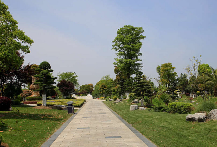 海湾园墓地的风水布局是否符合传统观念？