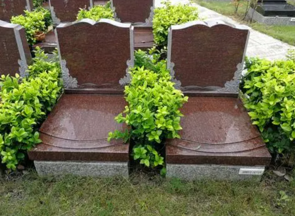 至尊园的墓地是否提供植树、种花等绿化服务？