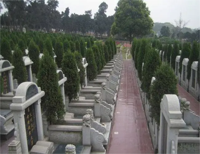 上海市民购买墓地时需要了解哪些知识？
