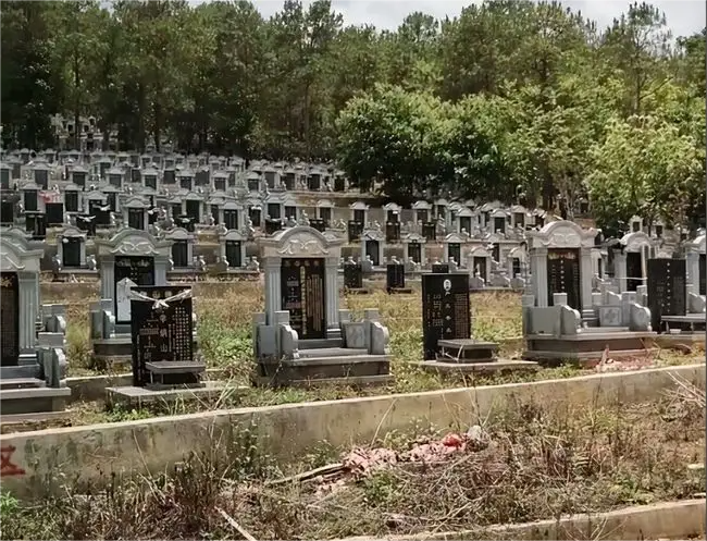 上海墓地的选购是否需要考虑公共设施配套因素？